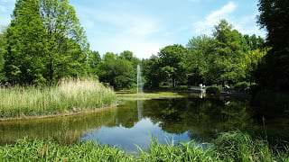 Sauerstoffversorgung in einem Gartenteich sicherstellen 1