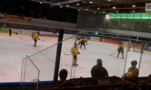 Eishockey in Essen | Moskitos Essen