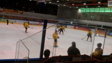 Faszination Eishockey - Erlebnisse bei den Moskitos Essen 1