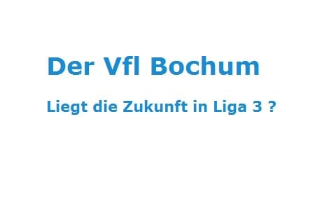 Vfl Bochum, Abstieg, Bundesliga