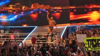 Warum Teilzeit-Wrestler bei Wrestlemania 29 der WWE Schaden 1