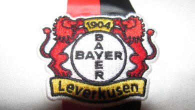 Saisonprognose Teil 3 : Bayer 04 Leverkusen 1