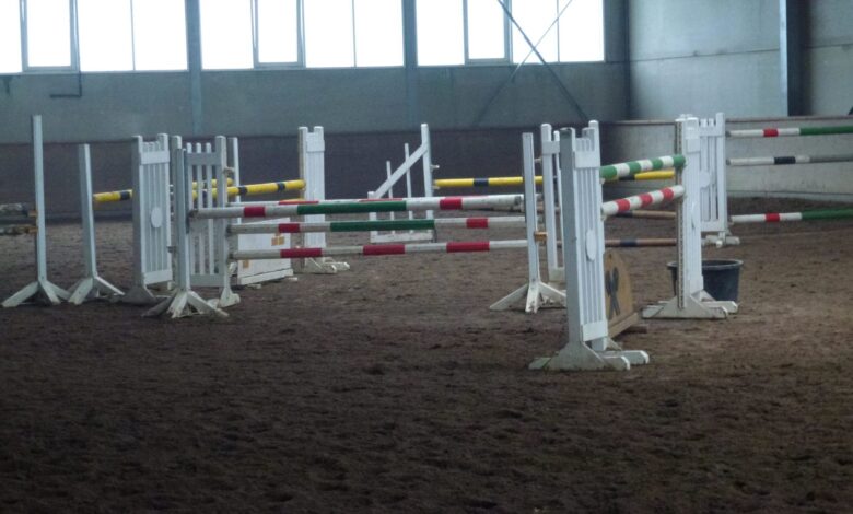 Olympische Reit-Disziplin: Springreiten 1
