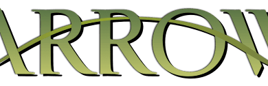 Arrow - Dark Knight mit Kapuze und Bogen 10 Arrow - Dark Knight mit Kapuze und Bogen 9