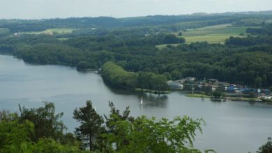 Segeln: die wichtigsten Tipps für Anfänger 2