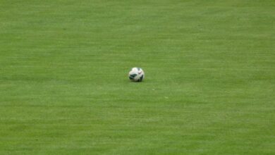 Mit diesem Wissen erfolgreiche Sportwetten abgeben 1
