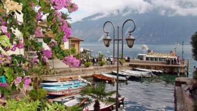 Urlaub mit dem Hund am Gardasee 10 Urlaub mit dem Hund am Gardasee 10