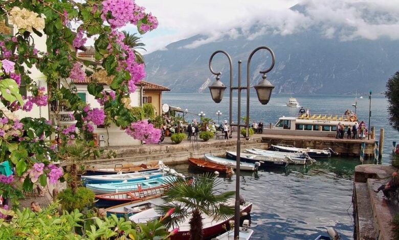 Urlaub mit dem Hund am Gardasee 1