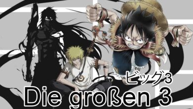 Die großen 3 der Manga 18 Die großen 3 der Manga 10