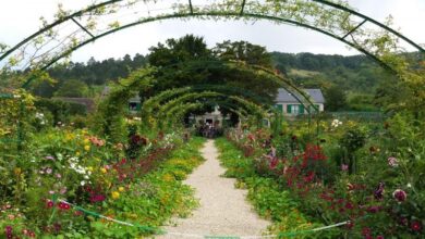 Kinderhotel Buchau - Familienurlaub deluxe am Achensee 5 Kinderhotel Buchau - Familienurlaub deluxe am Achensee 5