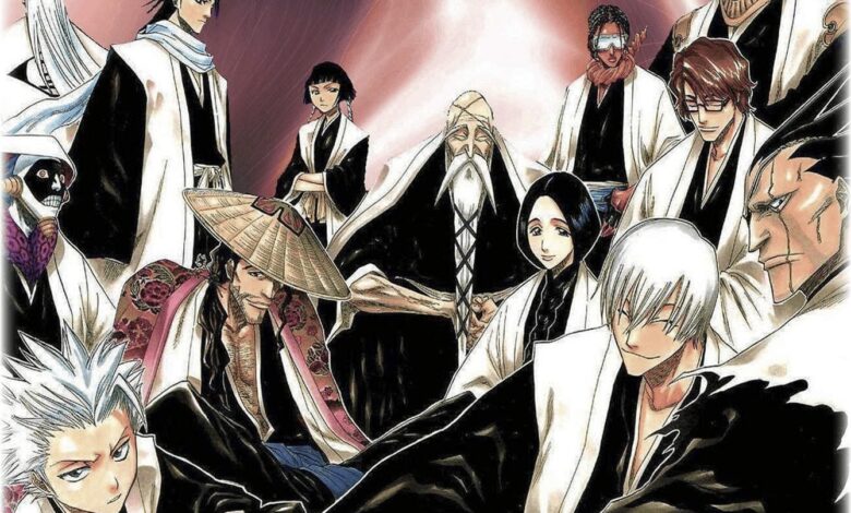 Bleach Manga Review 1
