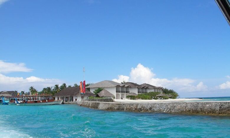 Reiseziel Malediven | Traumurlaub unter Palmen 1