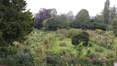 Sichtschutz im Garten - Gartenzäune 5 Sichtschutz im Garten - Gartenzäune 5