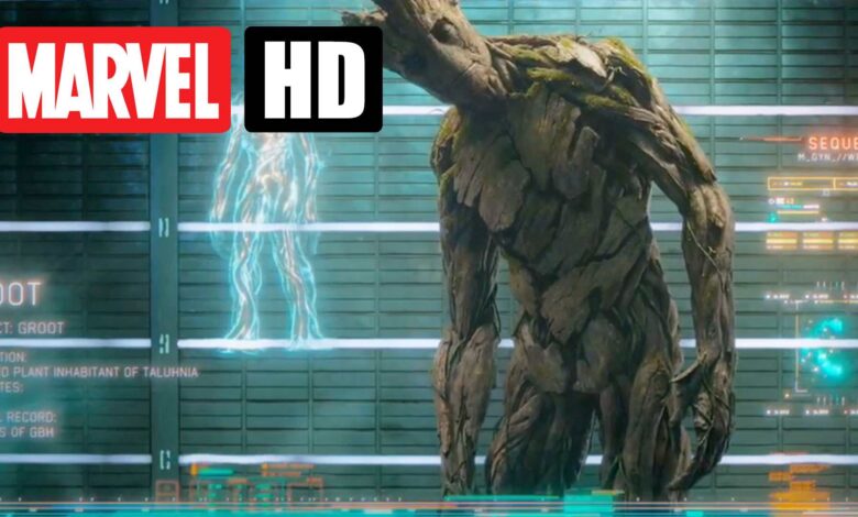 Guardians of the Galaxy | Besser spät als nie 1