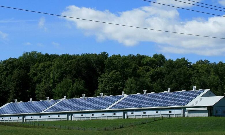 Die richtige Versicherung für Photovoltaikanlagen 1