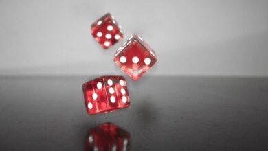 Das Casino im Netz 1
