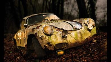 Autokalender "Die Untoten" mit Auto-Schockern 4 Autokalender "Die Untoten" mit Auto-Schockern 4