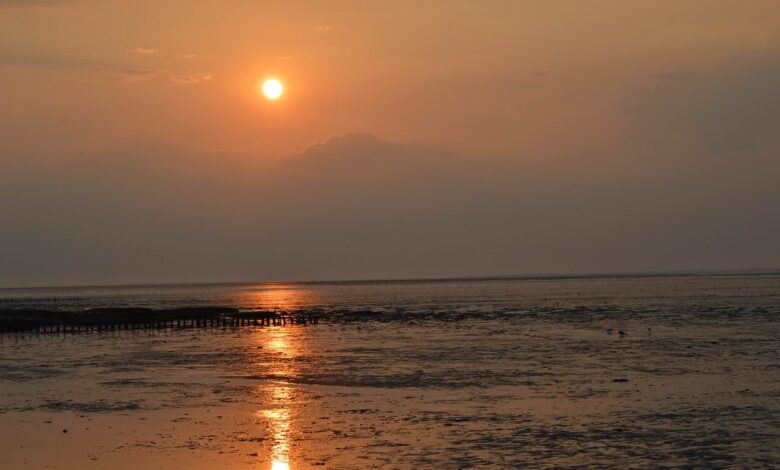 Urlaubsführer 2.0 1