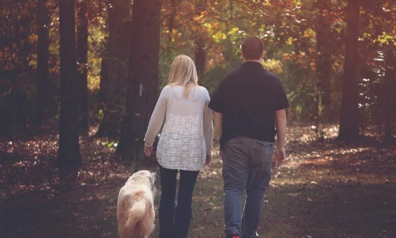 Der Hund als neues Familienmitglied? 1