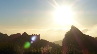 Das Paradies um die Ecke 1