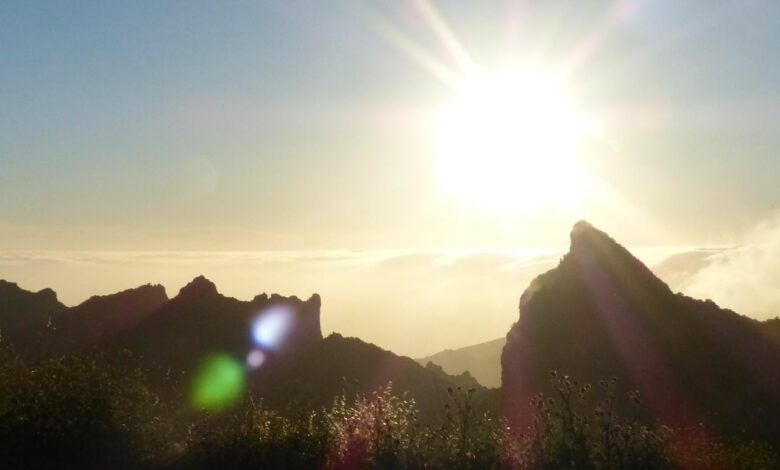 Das Paradies um die Ecke 1