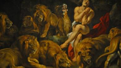 Rubens 6