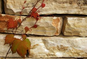 wall-490868_1280