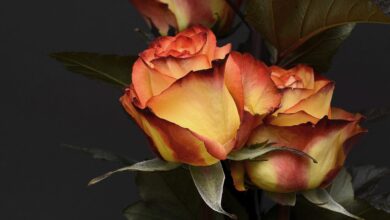 Romantik (1790-1850) 2