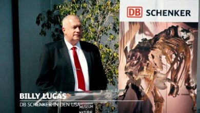 Sue - Ein Dino geht auf Reise mit DB Schenker 9 Sue - Ein Dino geht auf Reise mit DB Schenker 9