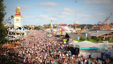 Oktoberfest Dirndl - das perfekte Wiesn-Outfit 7 Oktoberfest Dirndl - das perfekte Wiesn-Outfit 5
