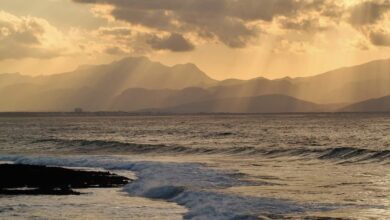 Traum vieler Deutsche: Eine Finca auf Mallorca 1