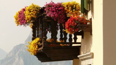 Holt euch den Sommerurlaub auf den Balkon! 6 Holt euch den Sommerurlaub auf den Balkon! 6