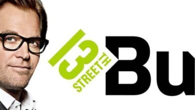 2. Staffel von Bull startet bald 9 2. Staffel von Bull startet bald 9