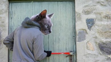 So halten Sie ungebetene Gäste aus der Wohnung 1