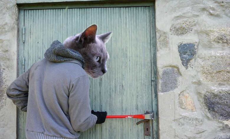 So halten Sie ungebetene Gäste aus der Wohnung 1