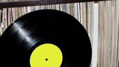 Diese Schallplatten dürfen in keiner Sammlung fehlen! 3