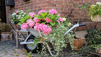 Schöne Accessoires für meinen Garten 8 Schöne Accessoires für meinen Garten 8