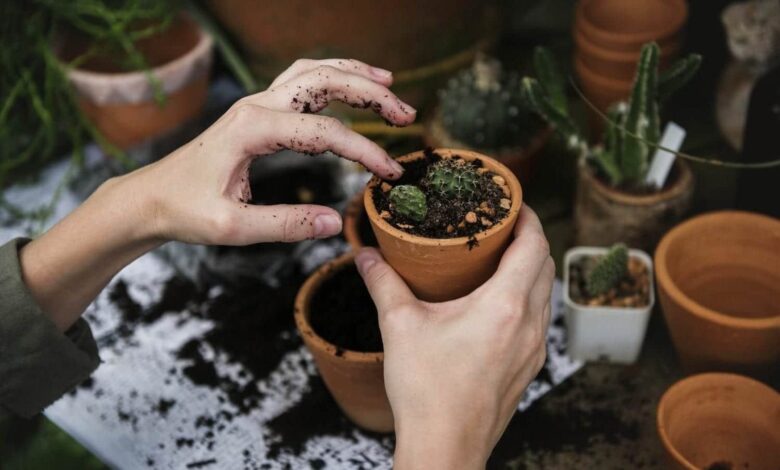 Die 5 wichtigsten Tipps für die Gartenarbeit 1