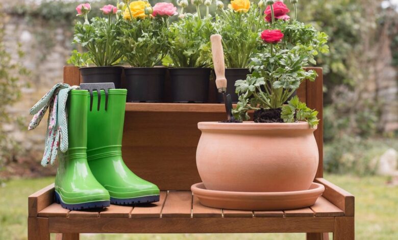Der Garten als Vollzeit-Hobby 1
