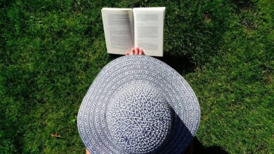 Diese Bücher haben meinen Garten aufgewertet 2