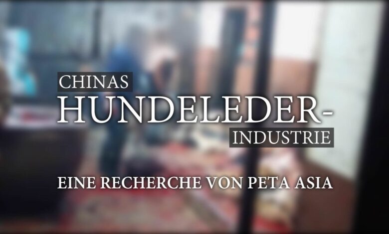 Weg mit Leder | Stoppt die Quälerei der Tiere 1