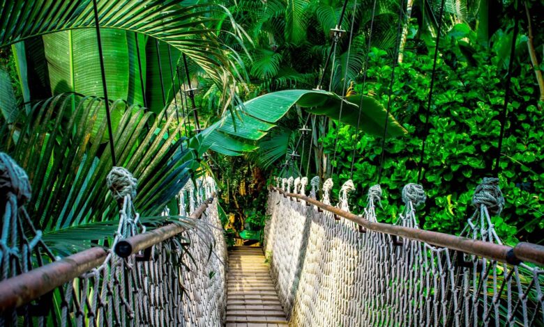 Insektenschutz auf Fernreisen 1 Insektenschutz auf Fernreisen 1