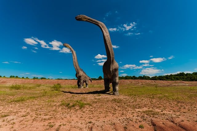Dino Park 1