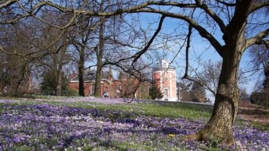 Die ewige Partnersuche in Wuppertal 11 Die ewige Partnersuche in Wuppertal 11