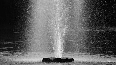 Die beruhigende Wirkung von Wasser im eigenen Zuhause 3