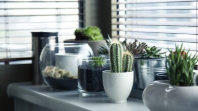 Fenster als Designobjekt 1