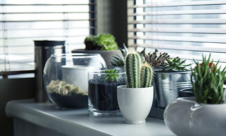 Fenster als Designobjekt 1