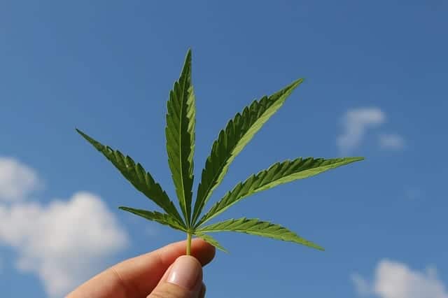 Gesunde Küche mit CBD 1