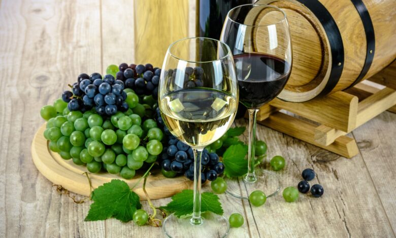Welcher Wein ist der richtige für mich? 1