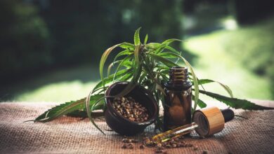 Das Experiment mit CBD-Produkten 12 Das Experiment mit CBD-Produkten 10